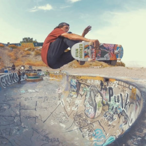 Globe - Nude Bowl - News - BONES WHEELS