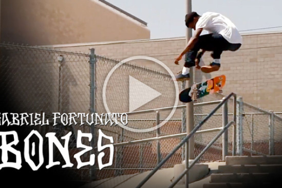 Gabriel Fortunato - BONES