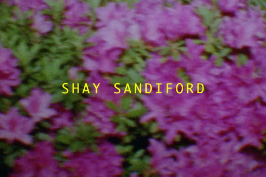 Shay Sandiford - Asics