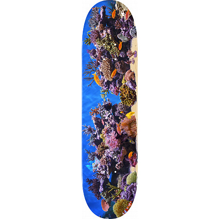 Mini skateboard i trä