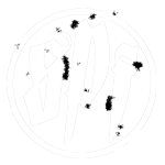 SPF-Skatepark Formula